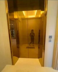 The Ritz-Carlton  (D9), Condominium #453917941